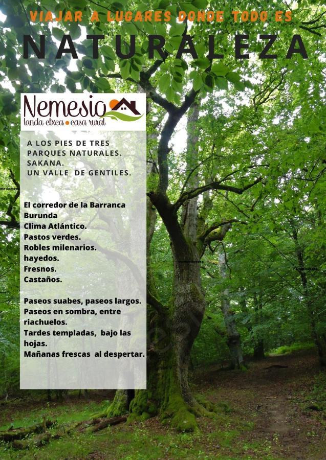 Casa Rural Nemesio Iturmendi Exterior foto